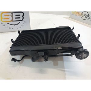 Manuale del Proprietario per Triumph Speed Triple 1050 2008-2010 - Product Image 5