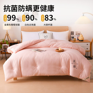 Soybean Fiber <b>Quilt</b> 1 Jin Or Less Natural Undyed Pinkish Gray Anti Bacterial Four Seasons Home Use - Product Image 1