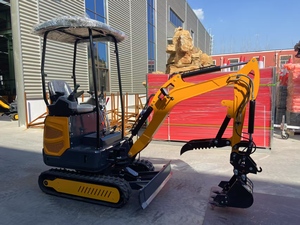 Excavatrice sur chenilles de 1,8 tonne pour travaux agricoles, municipaux et d'aménagement paysager, haute puissance de creusement, efficace sur sols durs, argileux et gravillons, stable, garantie moteur 1 an - Product Image 4
