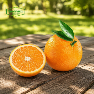 Naranjas <span class=keywords><strong>Valencia</strong></span> Frescas para Procesamiento <span class=keywords><strong>de</strong></span> Jugo, Calibre 70-80mm, Caja <span class=keywords><strong>de</strong></span> 15kg, China - Product Image 1