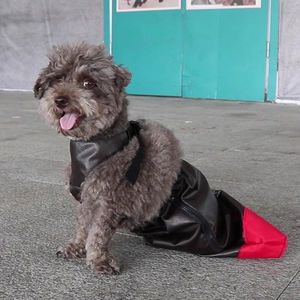 Nuevo tipo de <span class=keywords><strong>bolsa</strong></span> para caminar para mascotas con patrón sólido, resistente al desgaste, resistente a los arañazos, Correa informal para mascotas, asistencia para parálisis - Product Image 2