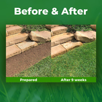 Growtrax Tapis d'herbe verte biodégradable 50 pieds carrés à pose rapide pour pelouses, zones d'aboiement pour chiens, ombrage, pots de fleurs et jardinières