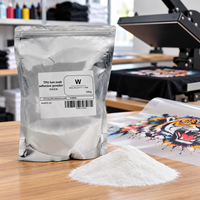 Poudre de TPU thermofusible pour impression DTF sur T-shirts, sweats à capuche et vêtements de sport