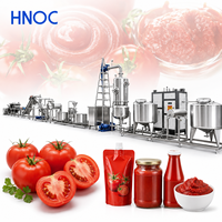 HNOC Kleine Schaal Tomatenpuree Procesinstallatie Ketchup Maakmachine Tomatenpuree Productielijn Te Koop