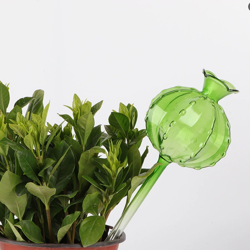 Cactus watering can [Green]