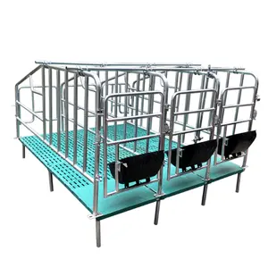 Gestation Nursery Farrowing Fattening Weaning Pig Sow Piglet Stall Crate Pen Cage Hot Dip Galvanized Galvanizing Box PVC Panel