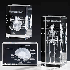 Có thể nhìn thấy máu hệ thống K9 pha lê <span class=keywords><strong>3D</strong></span> trái tim con người mô hình <span class=keywords><strong>Laser</strong></span> khắc giải phẫu Trophy cho tim mạch Quà Tặng - Product Image 6