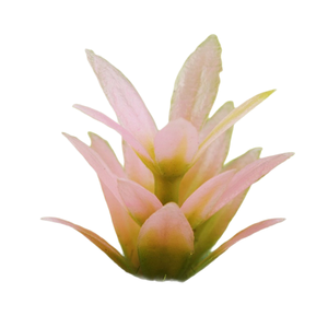 Flores y plantas de modelo Jiz, <span class=keywords><strong>agave</strong></span>, materiales de simulación de 2.0 cm para mesas de arena, para interiores y exteriores. - Product Image 5
