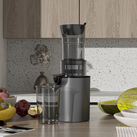 Elektrische mini slowjuicer met omgekeerde functie, 200W, hoge sapopbrengst, koudgeperste fruitsapcentrifuge, aangepaste logo's