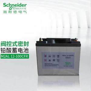 Schneider M2AL12-100CFR 12V 100Ah Lead Acid <b>Battery</b> For <b>UPS</b> Computer Networking - Product Image 4