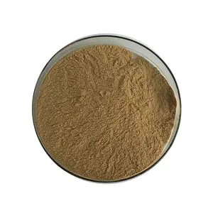 Natrual Weight Loss Chlorogenic Acid 60% Green Coffee Bean Extract Powder