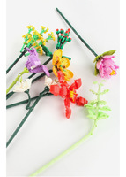 Educatieve ABS Plastic 3D Bouwblokken Sets Creatieve DIY Montage Dieren & Natuur Thema 4-6 jaar Unisex