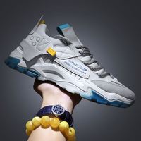 Nieuwste Arrivals Lace Up Jogging Schoen Wandelen Beroemde Sport Mannen Schoenen Met Licht Lage Prijs Mannen Sneakers Casual Sneaker Heren sport