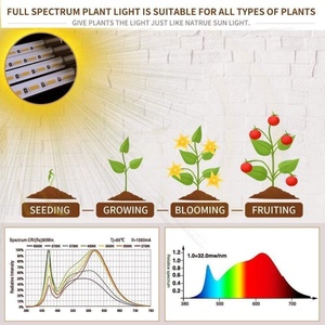 Luz <span class=keywords><strong>LED</strong></span> para <span class=keywords><strong>Cultivo</strong></span> de Plantas de <span class=keywords><strong>Interior</strong></span>, para <span class=keywords><strong>Cultivo</strong></span> de Plántulas y Suculentas, <span class=keywords><strong>con</strong></span> Temporizador y Regulación de Intensidad - Product Image 5