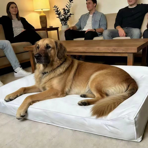 Cama para Perro Portátil, Extraíble y Lavable, de Espuma Viscoelástica Ortopédica Grande, Impermeable, con Relleno de Poliéster, Hecha a Medida por el Proveedor - Product Image 1