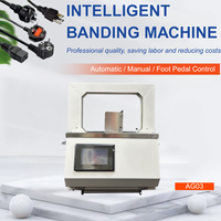 Machine à cerclage multifonctionnelle, idéale pour la fixation des bouquets de fleurs, des saucissons, de l'ail, des carottes et des légumes