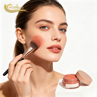Poudre de fard à joues à texture fine, facile à estomper, pour femmes, maquillage quotidien, OEM ODM, marque privée