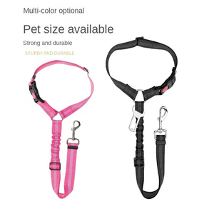 Conjunto de correa de nailon ajustable <span class=keywords><strong>superior</strong></span> para perros Correa ecológica multifuncional resistente para entrenamiento de comportamiento canino y visitas al parque - Product Image 6