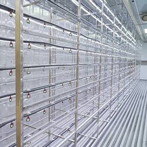 Cultivo de Forraje en un Contenedor Hidropónico Interior, Sistema de Forraje Vertical Hidropónico, Equipo de Contenedores <span class=keywords><strong>para</strong></span> Alimentación de <span class=keywords><strong>Ganado</strong></span> - Product Image 2