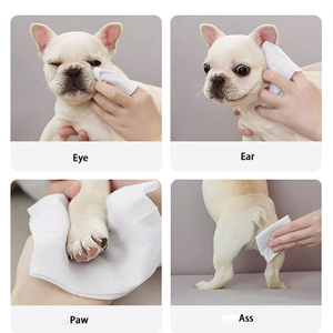 IVYPET 100個カスタム不織布ペットワイプコットン生分解性クリーニング脱臭ペットアイグルーミングワイプ - Product Image 4