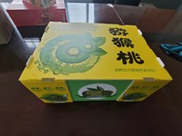 Boîte à fruits en plastique réutilisable avec capacité personnalisée et ventilation avec impression colorée