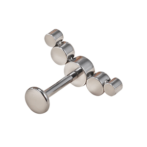 Pendientes <span class=keywords><strong>de</strong></span> Titanio ASTM F136 <span class=keywords><strong>de</strong></span> Alta Calidad con Rosca Interna y Zirconia para Labret, <span class=keywords><strong>Piercing</strong></span> <span class=keywords><strong>de</strong></span> <span class=keywords><strong>Labio</strong></span>, Joyería Punk - Product Image 4
