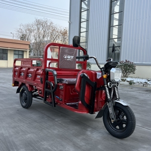 Triciclo Eléctrico de Gran Capacidad con Motor de Alta Potencia para Trabajo Pesado en Fábricas y Granjas - Product Image 4