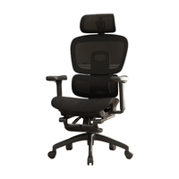 Nouvelle Chaise de Bureau Ergonomique 2025 Tendance à Dossier Haut en Maille Confortable, Réglable, en Tissu, pour la Maison et le Bureau, avec Accoudoirs 5D