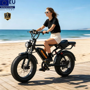 Bicicleta Eléctrica con Llantas Gruesas de 20 Pulgadas, Precio Económico en Almacén Europeo, HEADEER BK20, Motor de 750w, Batería de 48V 20ah - Product Image 1