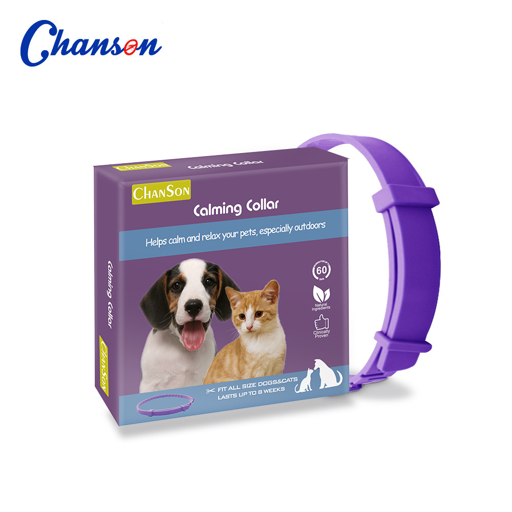 Boîte couleur violet chat apaisant-38cm