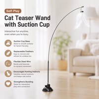 Jouet pour chat en fil d'acier simple avec ventouse, baguette de stimulation manuelle, gadget anti-ennui pour l'exercice
