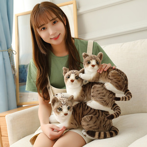 ตุ๊กตาแมว ตุ๊กตาสุนัข ของเล่นตุ๊กตาขนสั้นเหมือนจริง ขายส่ง - Product Image 6
