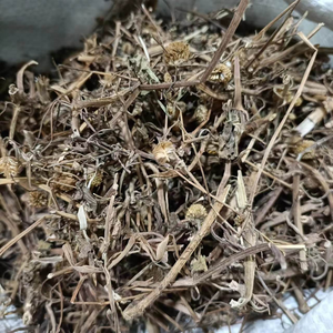 Herba Gotu Kola Seca Natural de Alta Calidad, Plantas Enteras, Hierbas Chinas, Acmella <span class=keywords><strong>Paniculata</strong></span> - Product Image 4