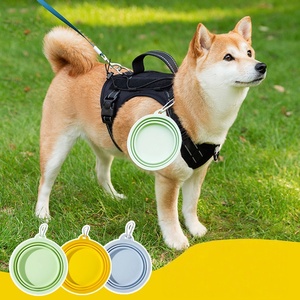 Vajilla portátil plegable de silicona de tamaño pequeño para perros, cuenco de sujeción para uso al aire libre para mascotas - Product Image 1