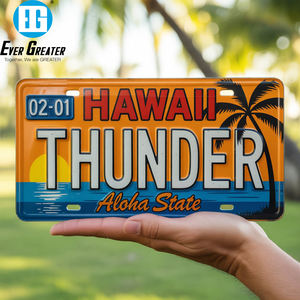 Placa de matrícula antimonopolio a prueba de UV con logotipo en relieve de diseño personalizado para coche con 25 años de experiencia - Product Image 1