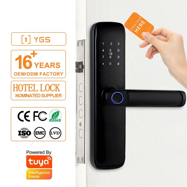 Ansi Smart Dor Lock Wifi Tuya Ttlock Smart Lock Fingerprint Card Key Home Apartment Hotel Smart Door Locks