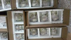 Pdc niet- coring diamant boor vijzel voor aarde boren - Product Image 6