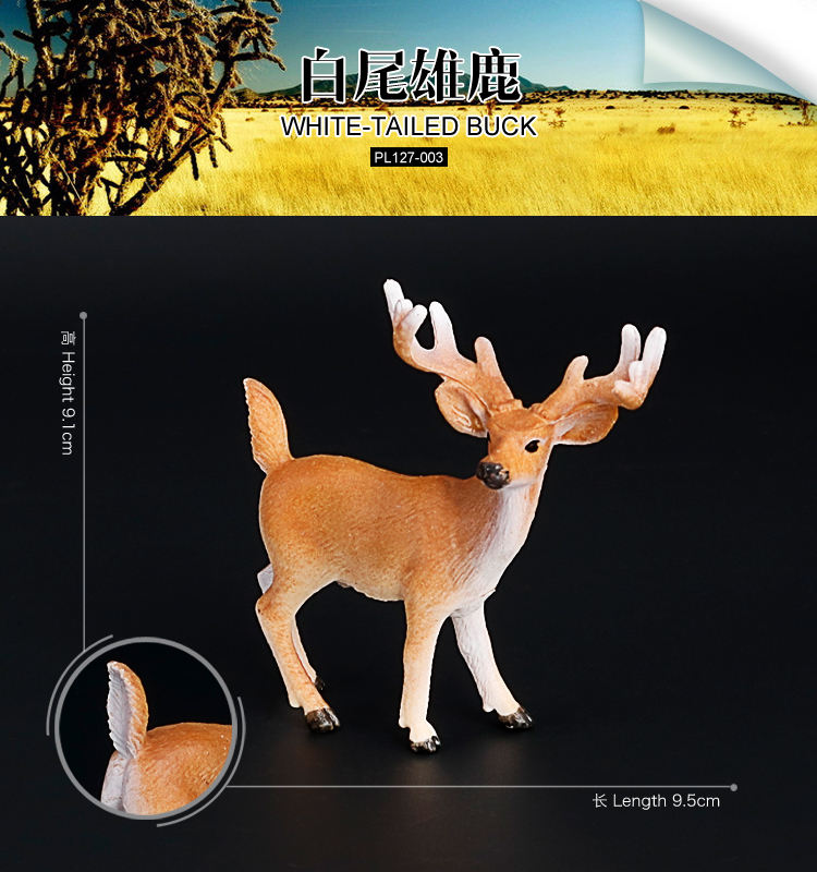 003 Ciervo de cola blanca grande