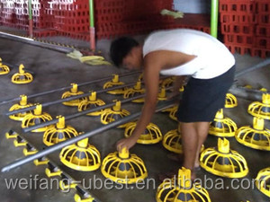 Gran oferta, venta directa <span class=keywords><strong>de</strong></span> fábrica, sistema automático <span class=keywords><strong>de</strong></span> alimentación y bebida, equipo avícola para pollos <span class=keywords><strong>de</strong></span> engorde - Product Image 3