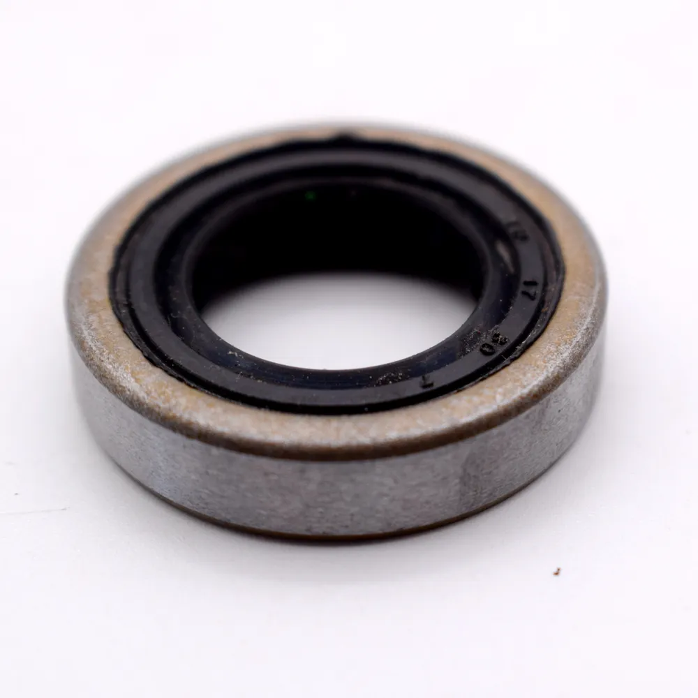 TB Type 17*30*7 NBR Nitrile Rubber Two Lip Dustproof Gasket Iron Shell Radial Shaft Skeleton Oil Seal for Auto Parts Accessories