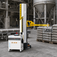 Robot Palettiseur Haute Vitesse Populaire sur le Marché International, Support à Distance, Capacité 90-300KG pour Ligne d'Empilage Logistique