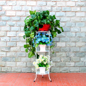 European Style Wrought Iron Flower Stand Multi Layer Indoor Balcony Plant Rack Living Room Pothos Succulent Pot Holder - Product Image 3