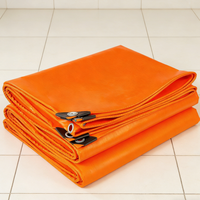 Bâche en nylon enduit de PE avec œillets, laminée et imperméable, pour la protection des marchandises en extérieur – Vente en gros usine, Nouveauté