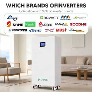 Nuevo Sistema de Almacenamiento de Energía Solar, Batería de 48V 200Ah 314ah 16Kwh 10Kwh, Batería Solar Doméstica de Iones de Litio M16S100BL-V - Product Image 3