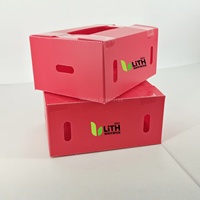 Caisse en plastique pliable écologique, réutilisable, pliable, pour le stockage, gain de place, pour les produits agricoles, les denrées sèches, le riz, les graines