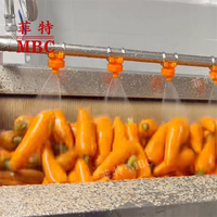 MBC OEM Aangepaste 500-2000 Kg/uur Hoge Capaciteit Cassave Aardappel Bieten Wortel Was- en Schilmachine RVS Schil- en Reinigingsmachine