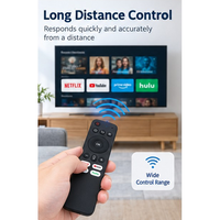 Télécommande vocale universelle intelligente noire 16 boutons connexion sans fil 2,4 GHz OEM ODM Usine Moule en plastique ABS