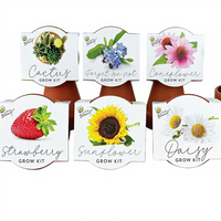 Kit Penyemaian Benih Mini Pot Terakota Klasik 6-Pak untuk Berkebun Dalam Ruangan, Kit Pembenihan untuk Herbal dan Bunga, Tanam Sendiri
