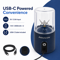 Mixeur portable personnalisable OEM ODM pour smoothies du petit-déjeuner, jus frais et boissons aux fruits