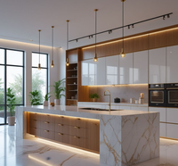 Fabricant chinois professionnel bon prix conceptions modulaires de cuisine meubles armoires de cuisine et accessoires armoire murale de cuisine